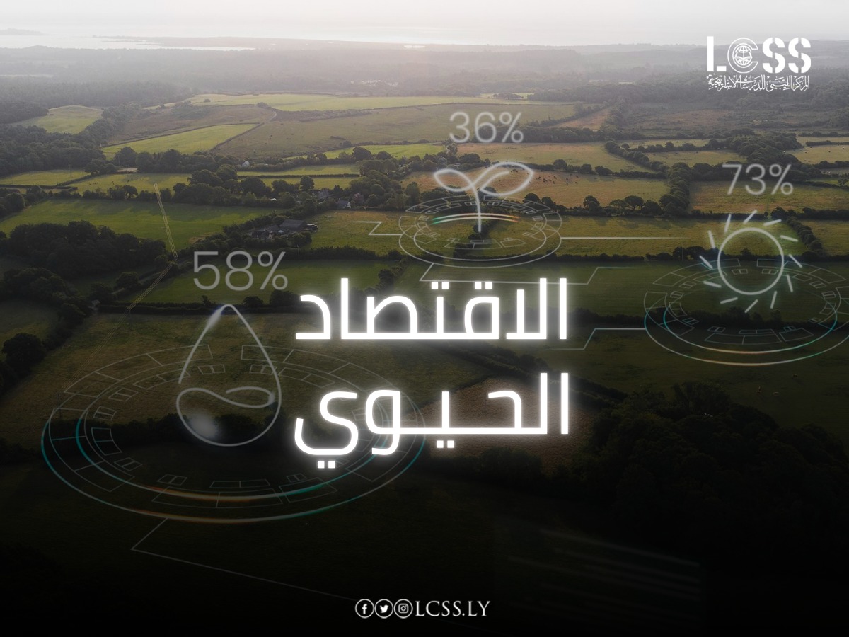 WhatsApp Image 2024-11-10 at 12.55.46 PM