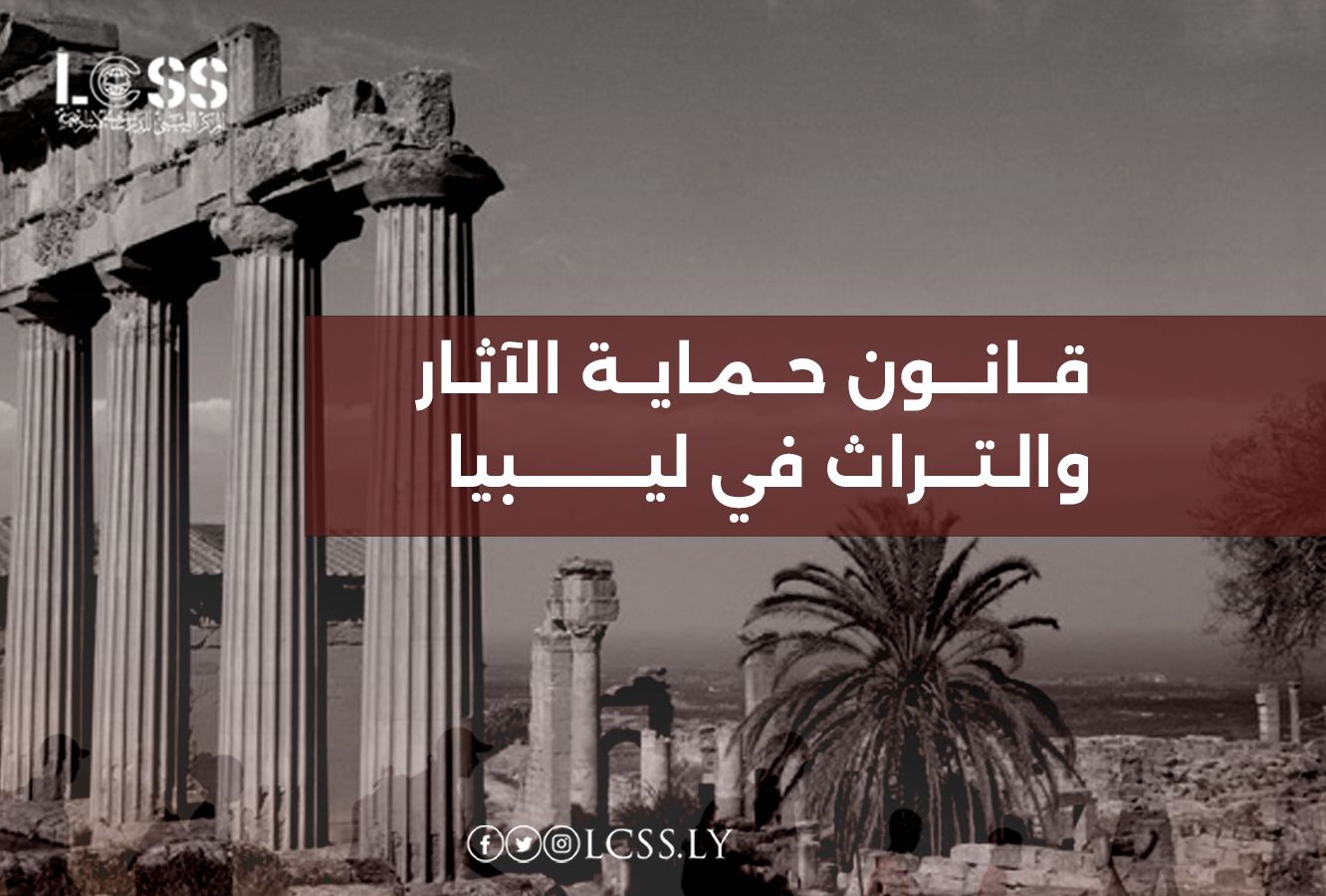 WhatsApp Image 2025-01-11 at 11.43.17 AM