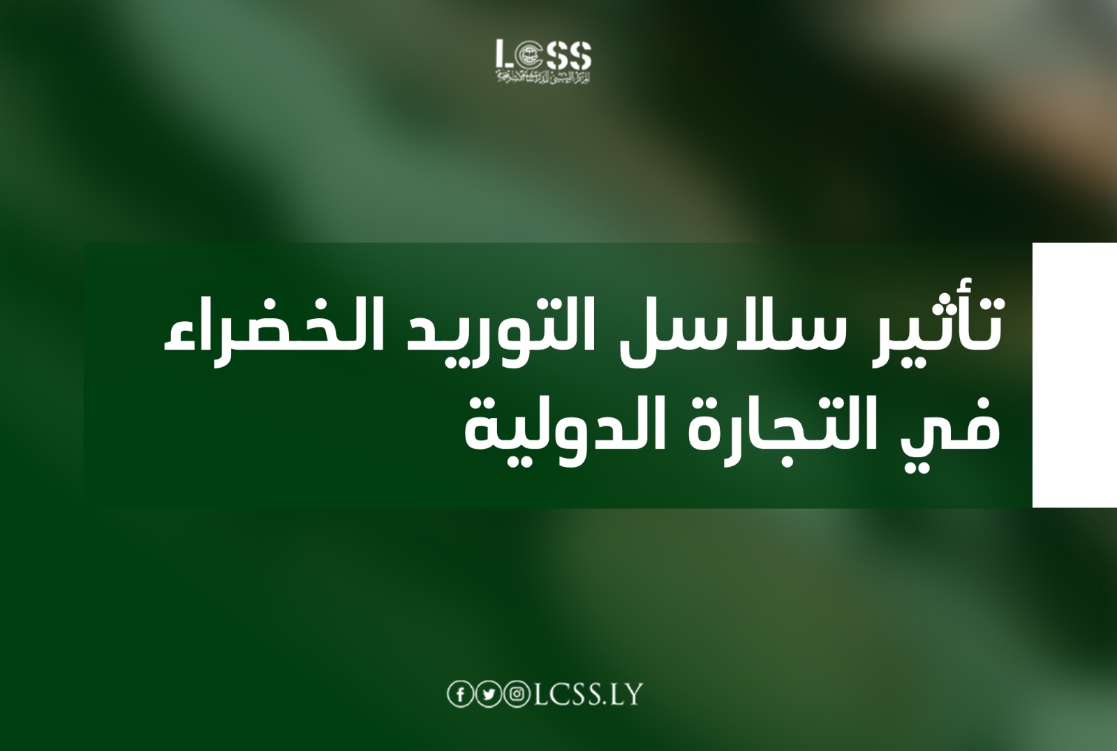 WhatsApp Image 2025-02-24 at 3.00.54 PM